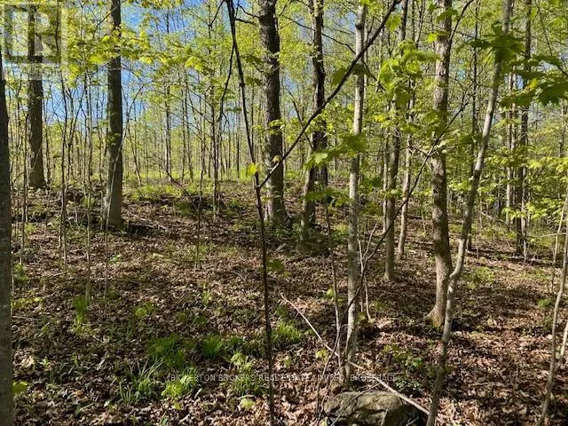 3519 COUNTY RD 3 ROAD