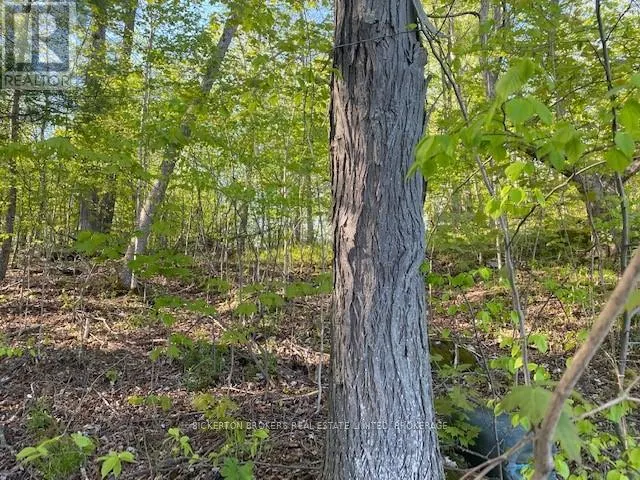 3519 COUNTY RD 3 ROAD