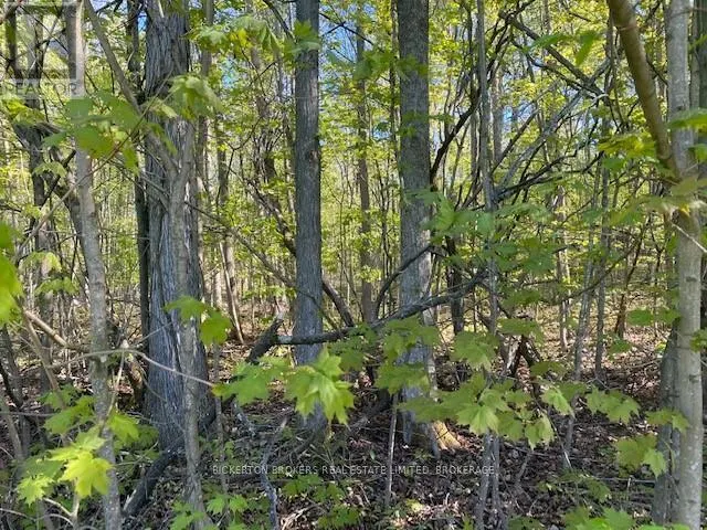 3519 COUNTY RD 3 ROAD