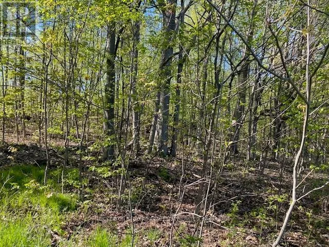 3519 COUNTY RD 3 ROAD