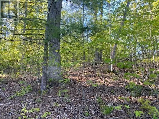 3519 COUNTY RD 3 ROAD