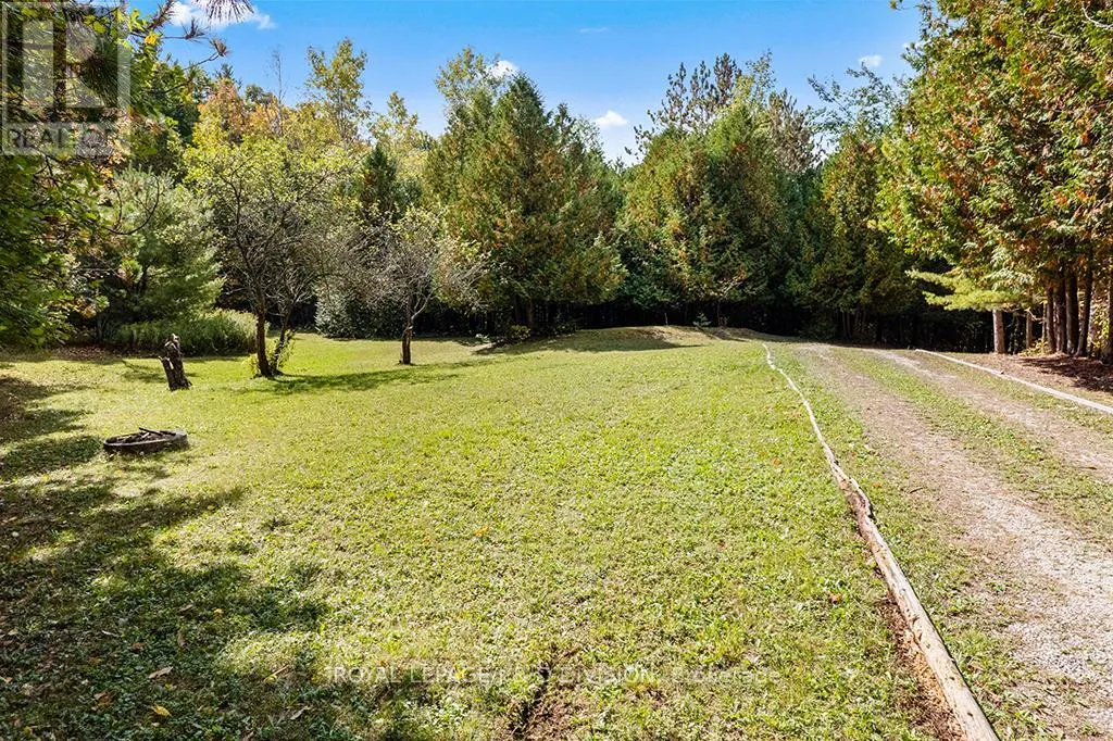 637202 PRINCE OF WALES ROAD