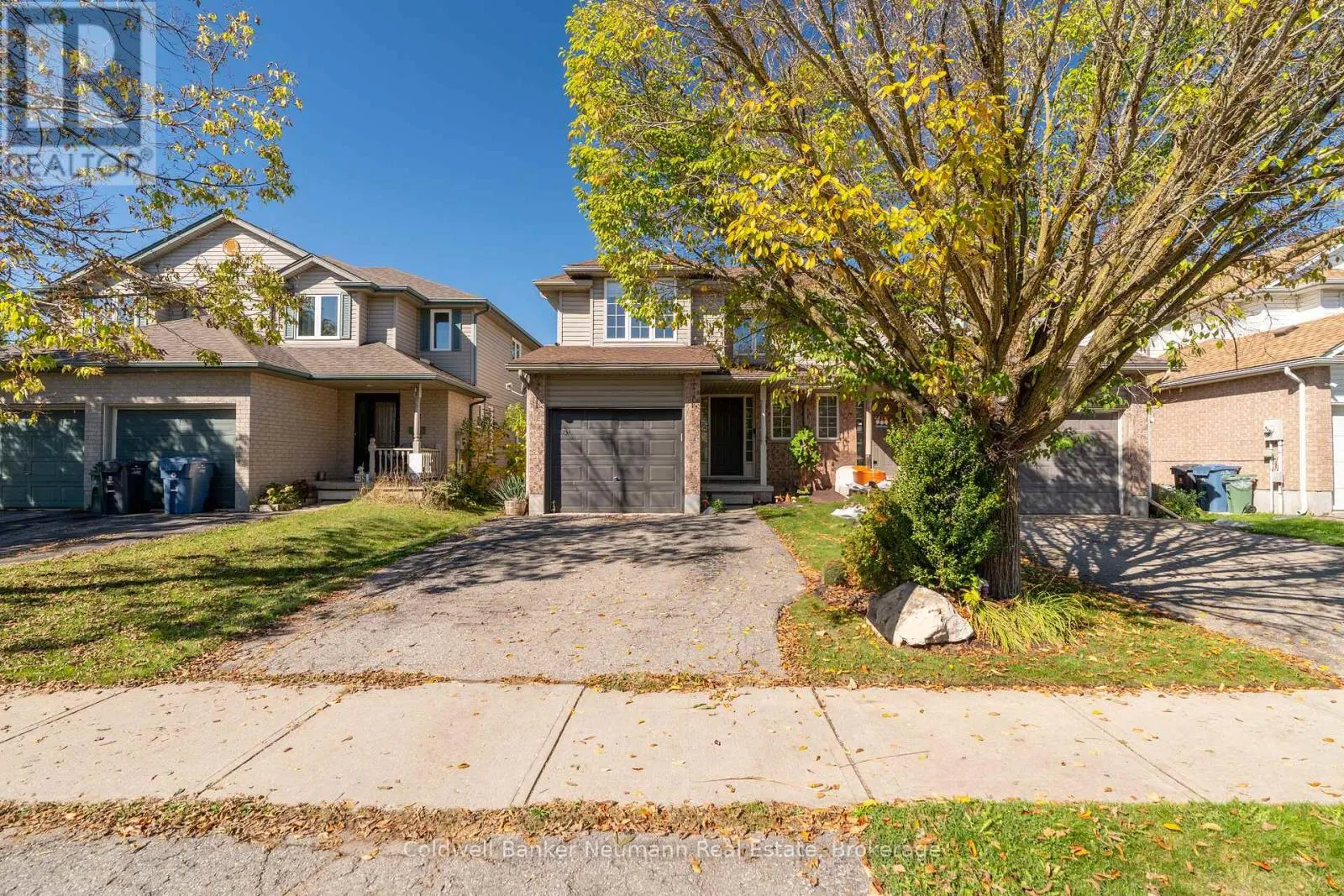 6 LAW DRIVE