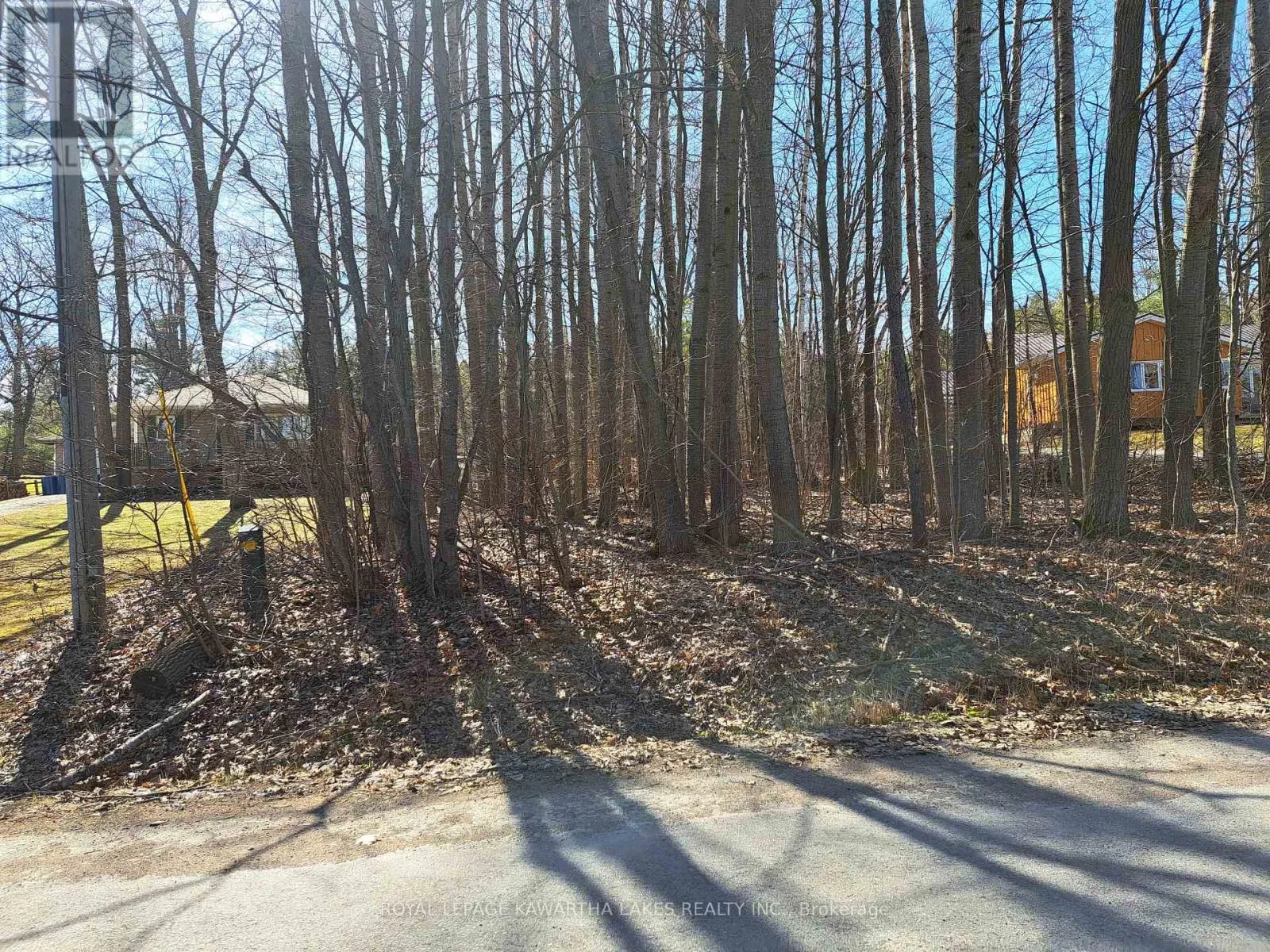 0 POPLAR DRIVE