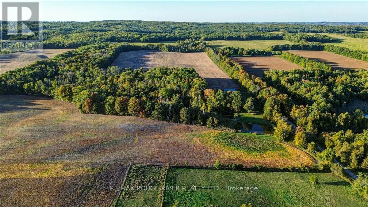 190 MCBRIDE ROAD