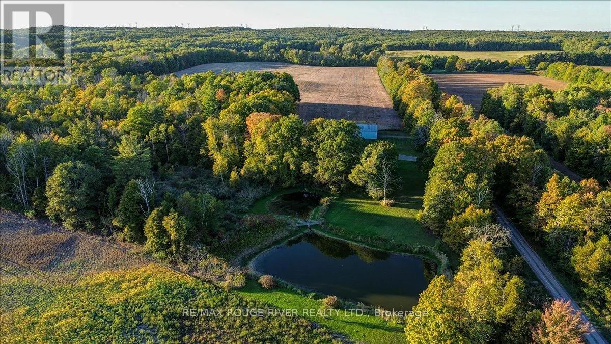 190 MCBRIDE ROAD