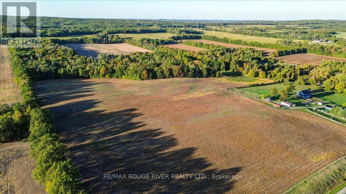 190 MCBRIDE ROAD