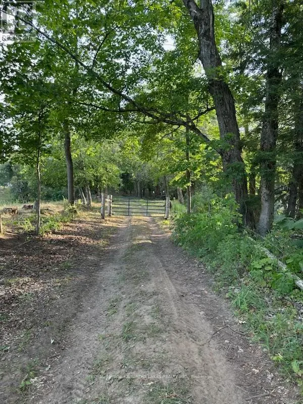 2433 COUNTY ROAD 121 ROAD