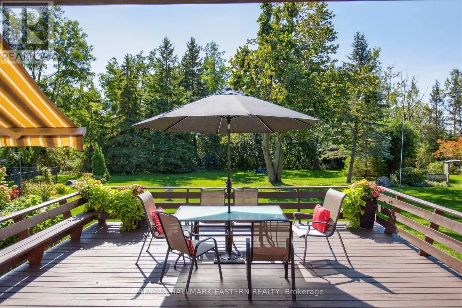 244 PATRICIA CRESCENT