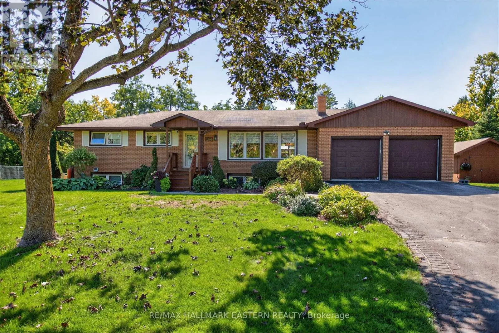 244 PATRICIA CRESCENT