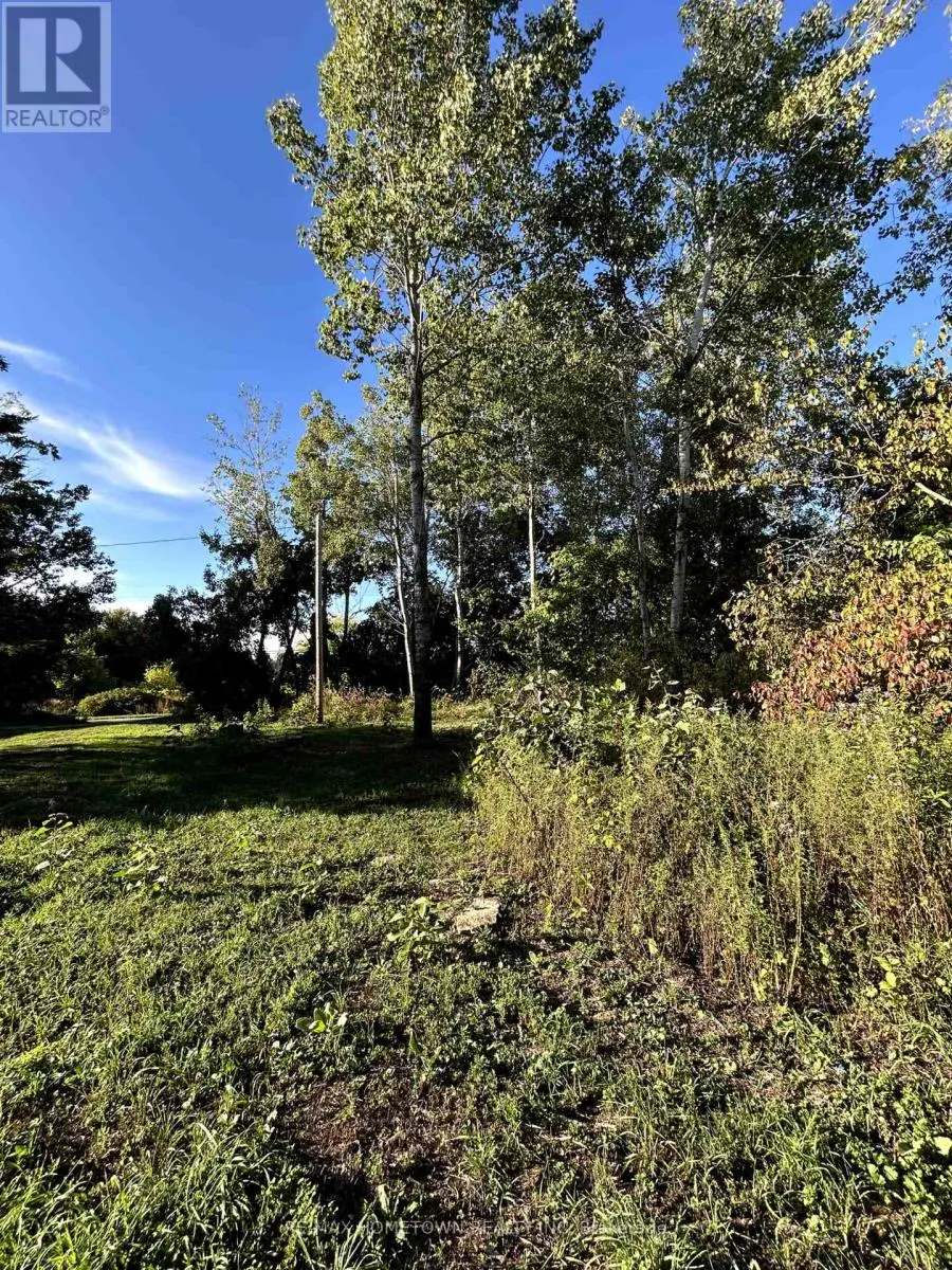 523 LOWER OAK LEAF ROAD