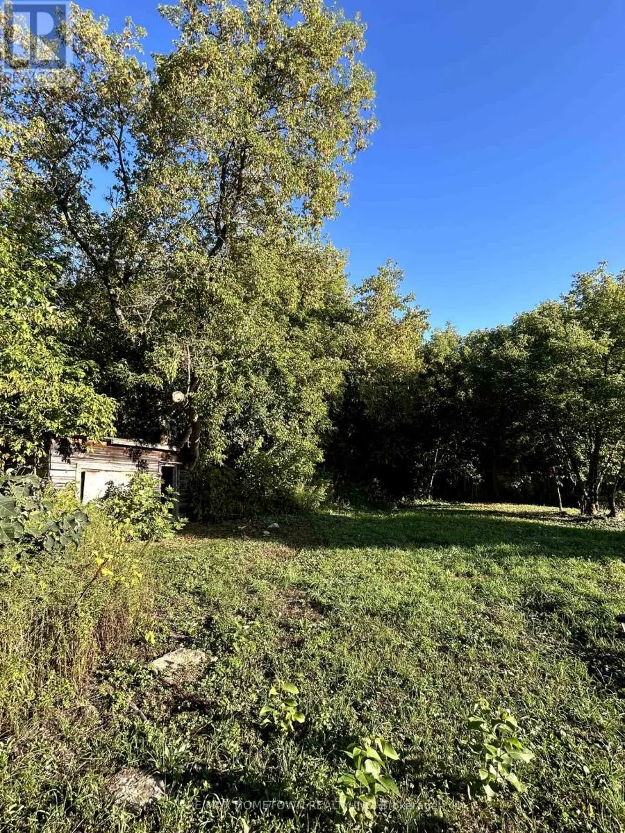 523 LOWER OAK LEAF ROAD