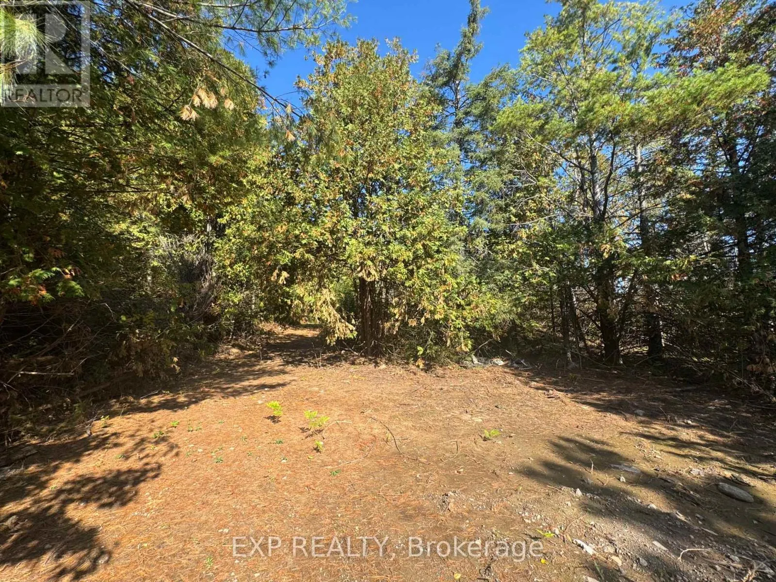 1083 COUNTY RD 6 ROAD