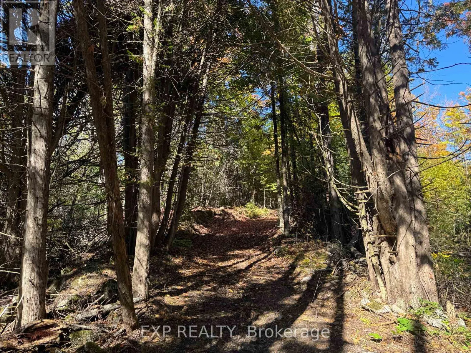 1083 COUNTY RD 6 ROAD