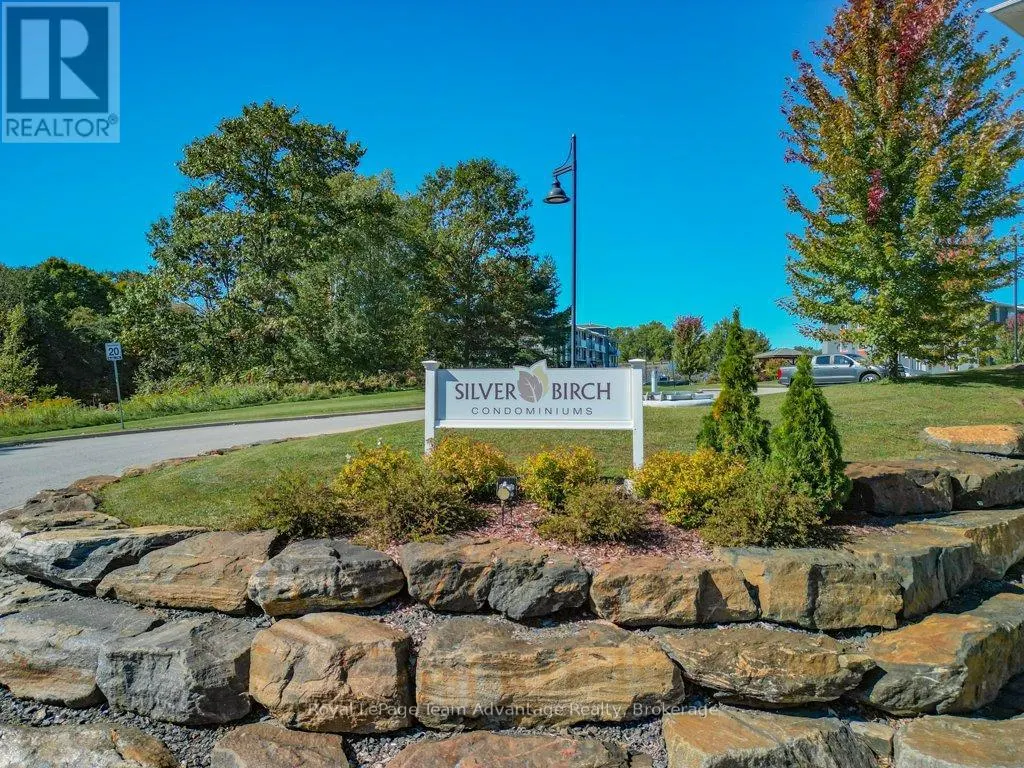 203 - 20A SILVER BIRCH COURT, #203