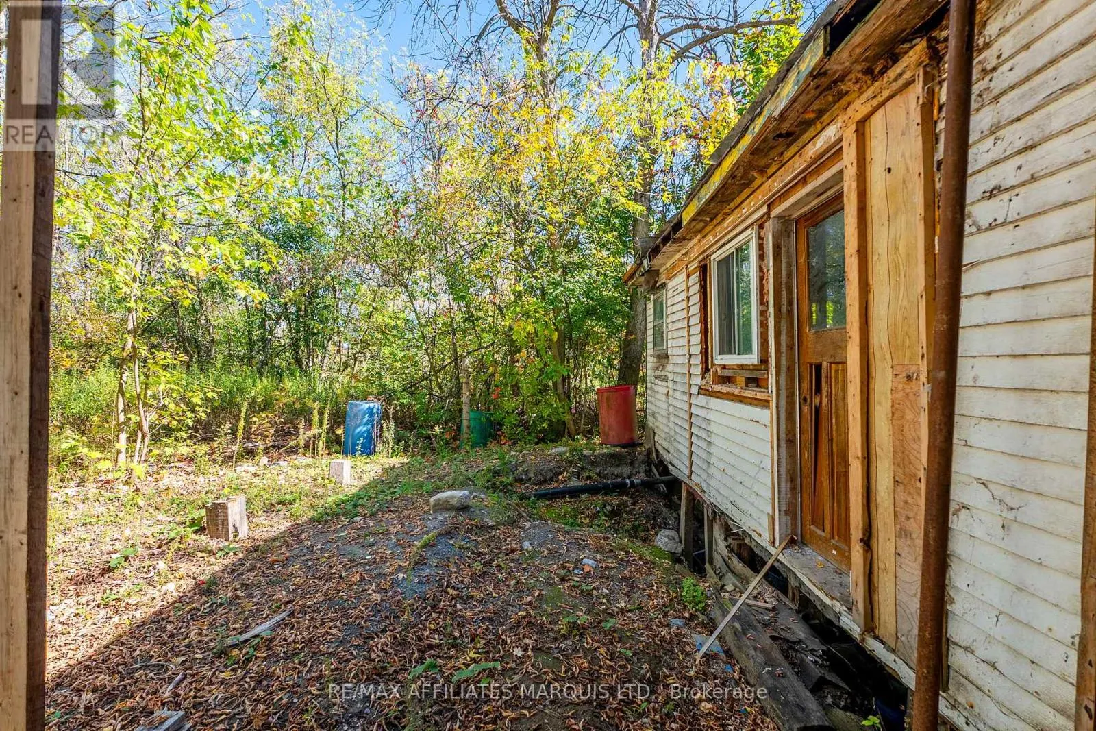 16517 BLACK RIVER ROAD