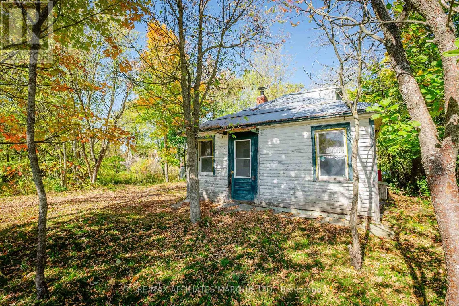 16517 BLACK RIVER ROAD