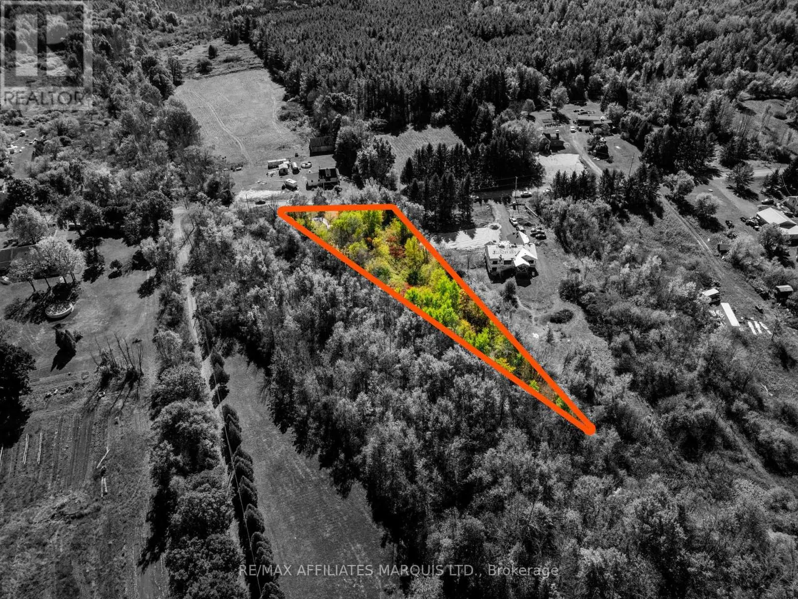 16517 BLACK RIVER ROAD