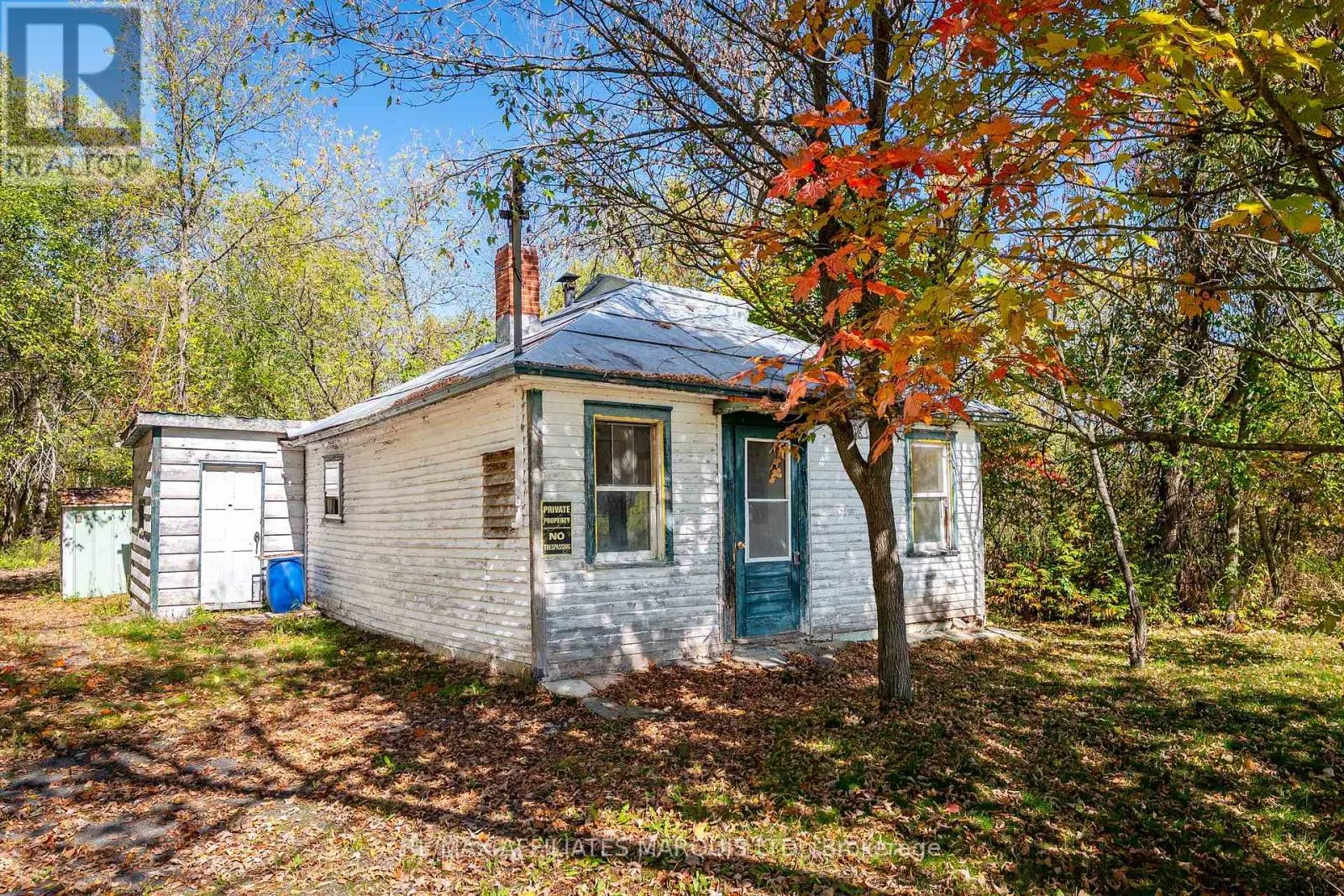 16517 BLACK RIVER ROAD