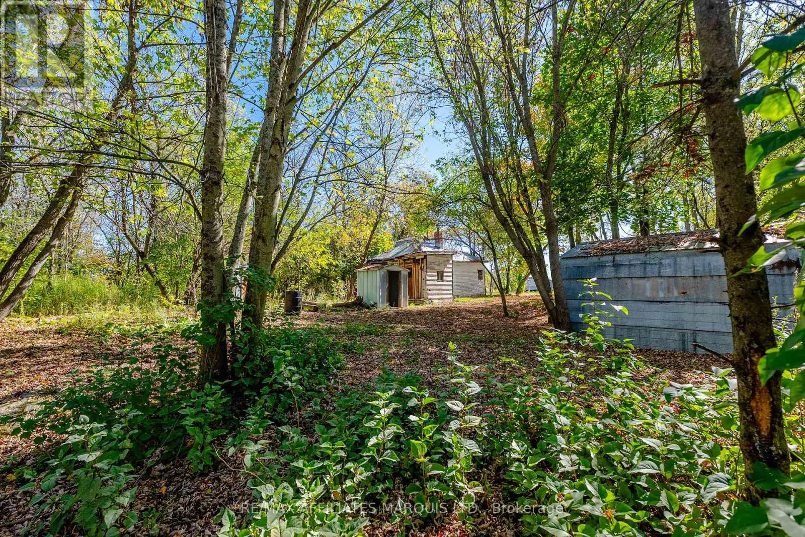 16517 BLACK RIVER ROAD