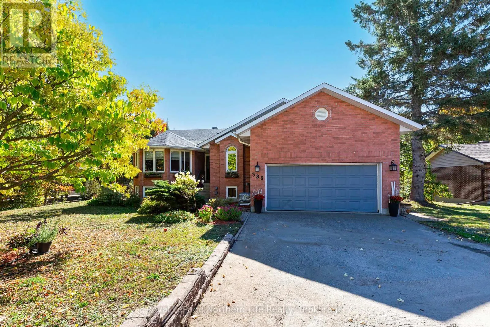 389 CARMICHAEL DRIVE