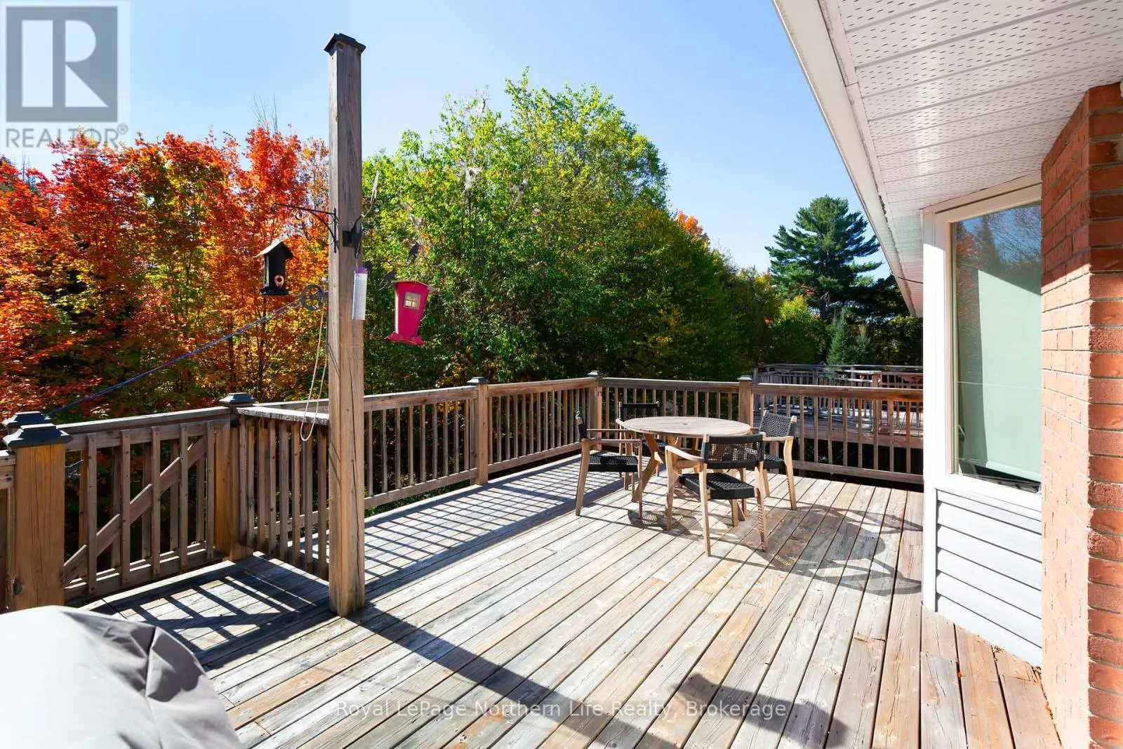 389 CARMICHAEL DRIVE