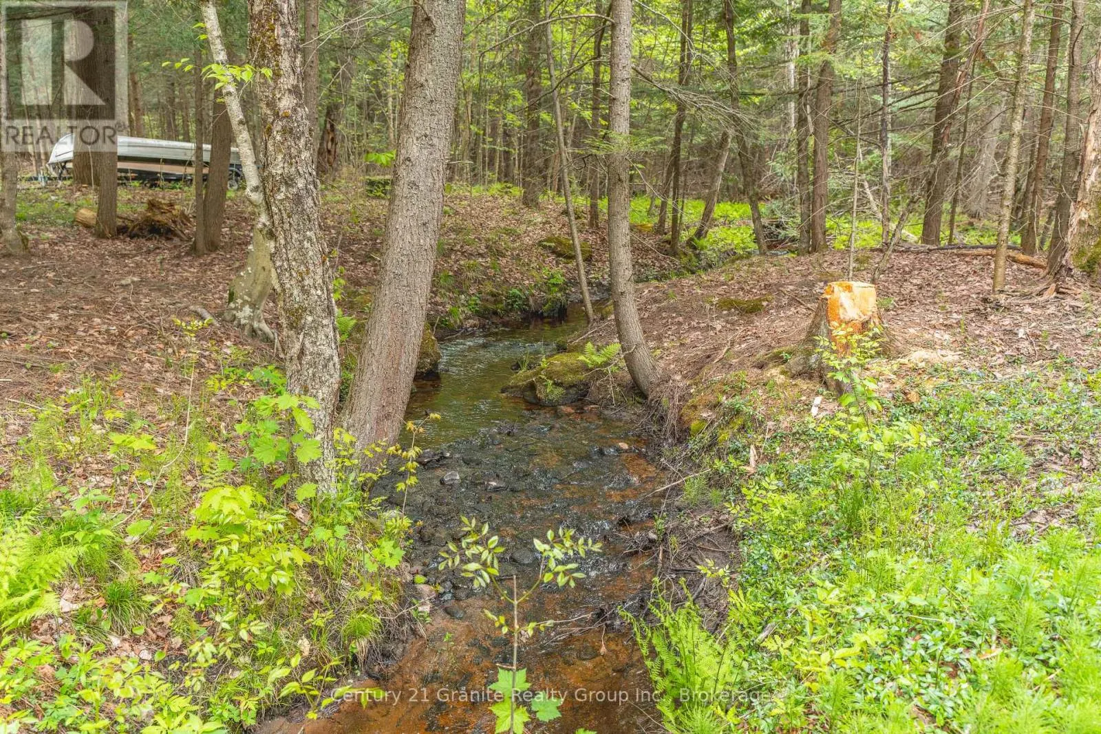 7032 COUNTY ROAD 121