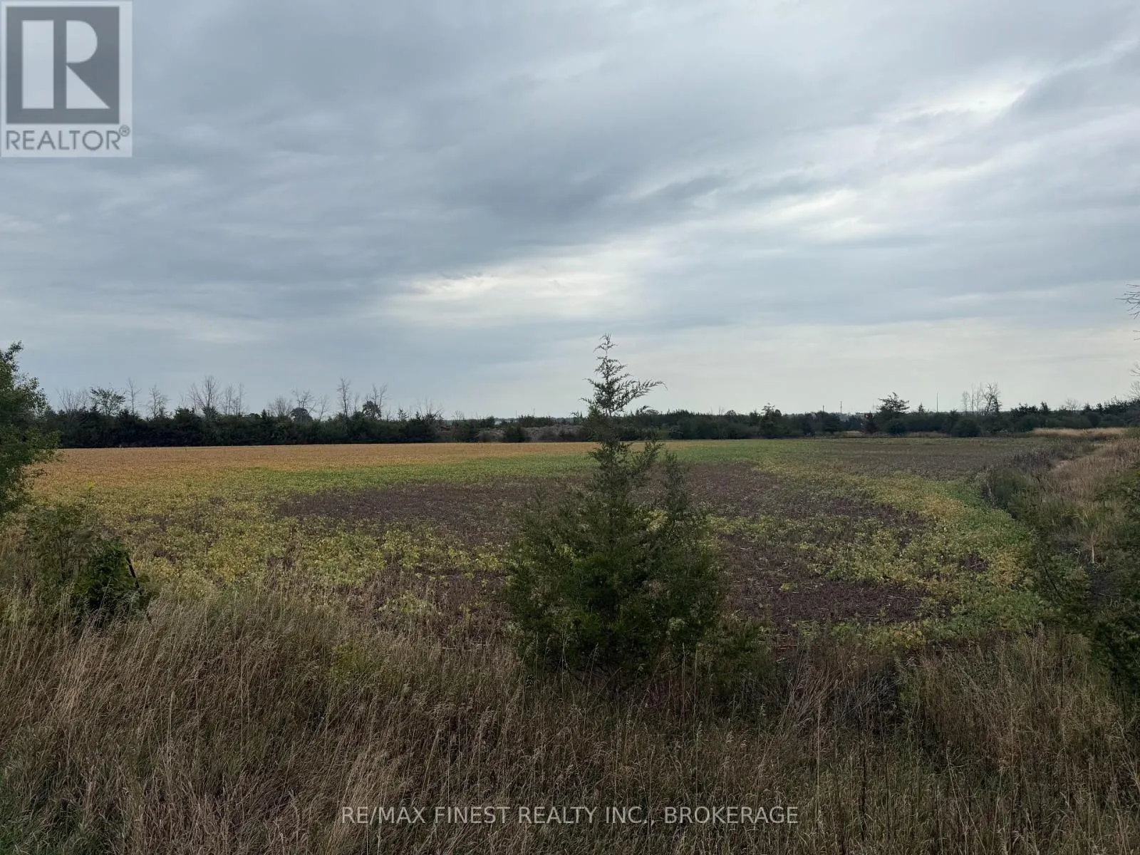 208A DRIVE IN ROAD