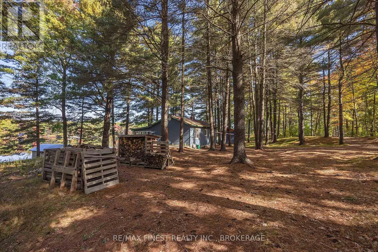 293 GOLD DUST LANE