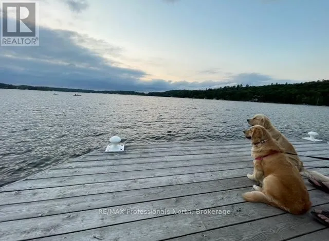 CARLING 4, W10 - 3876 MUSKOKA ROAD 118 WEST