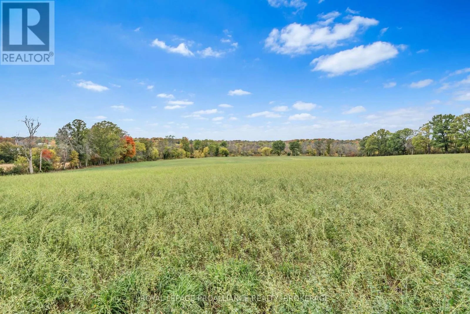 1551 COUNTY ROAD 1 E