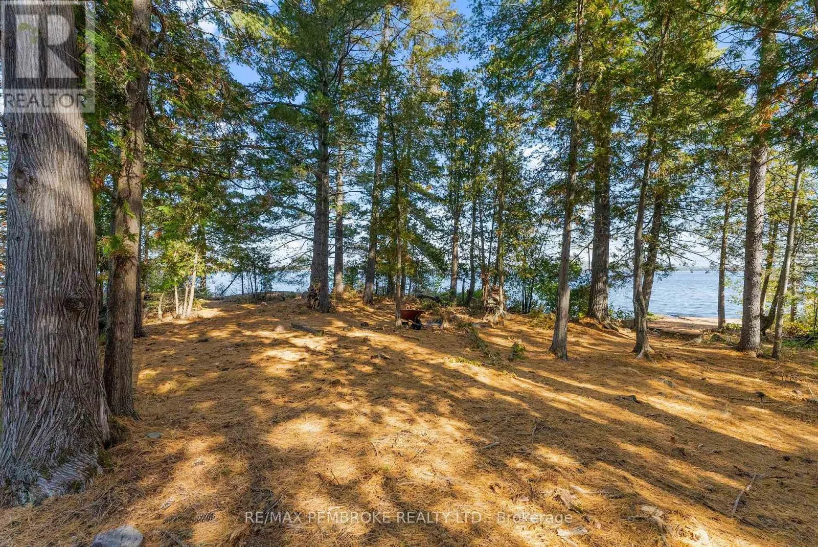 204B HAWKINS DRIVE