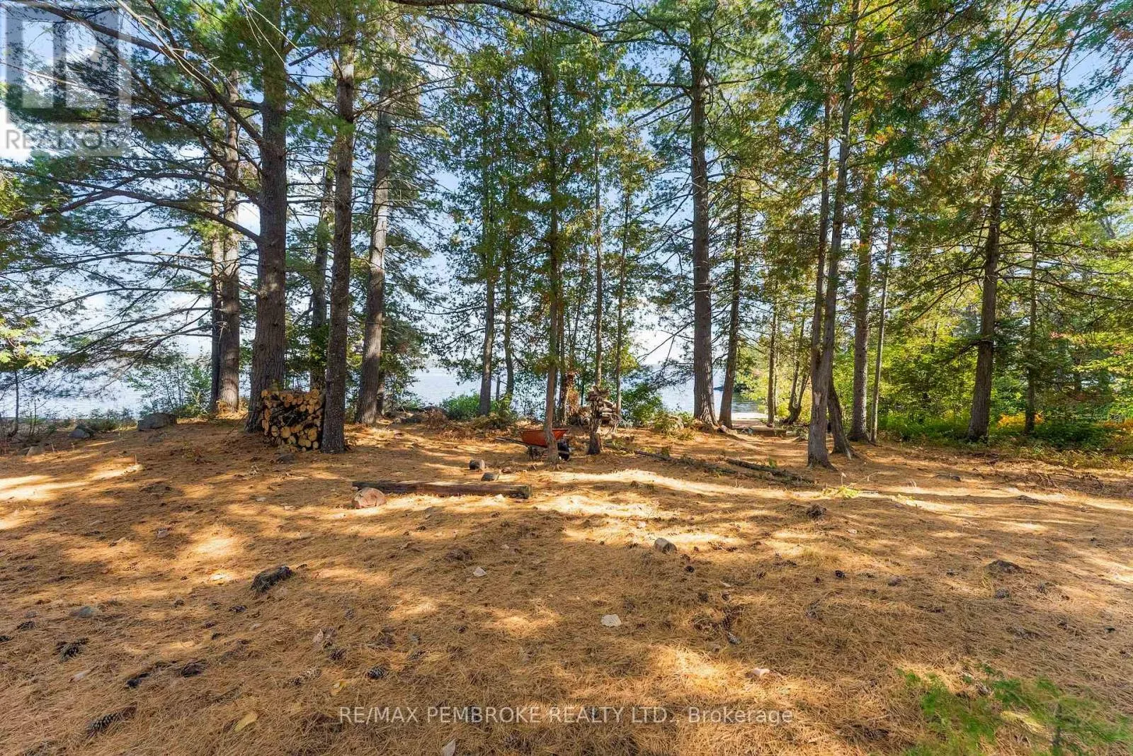 204B HAWKINS DRIVE