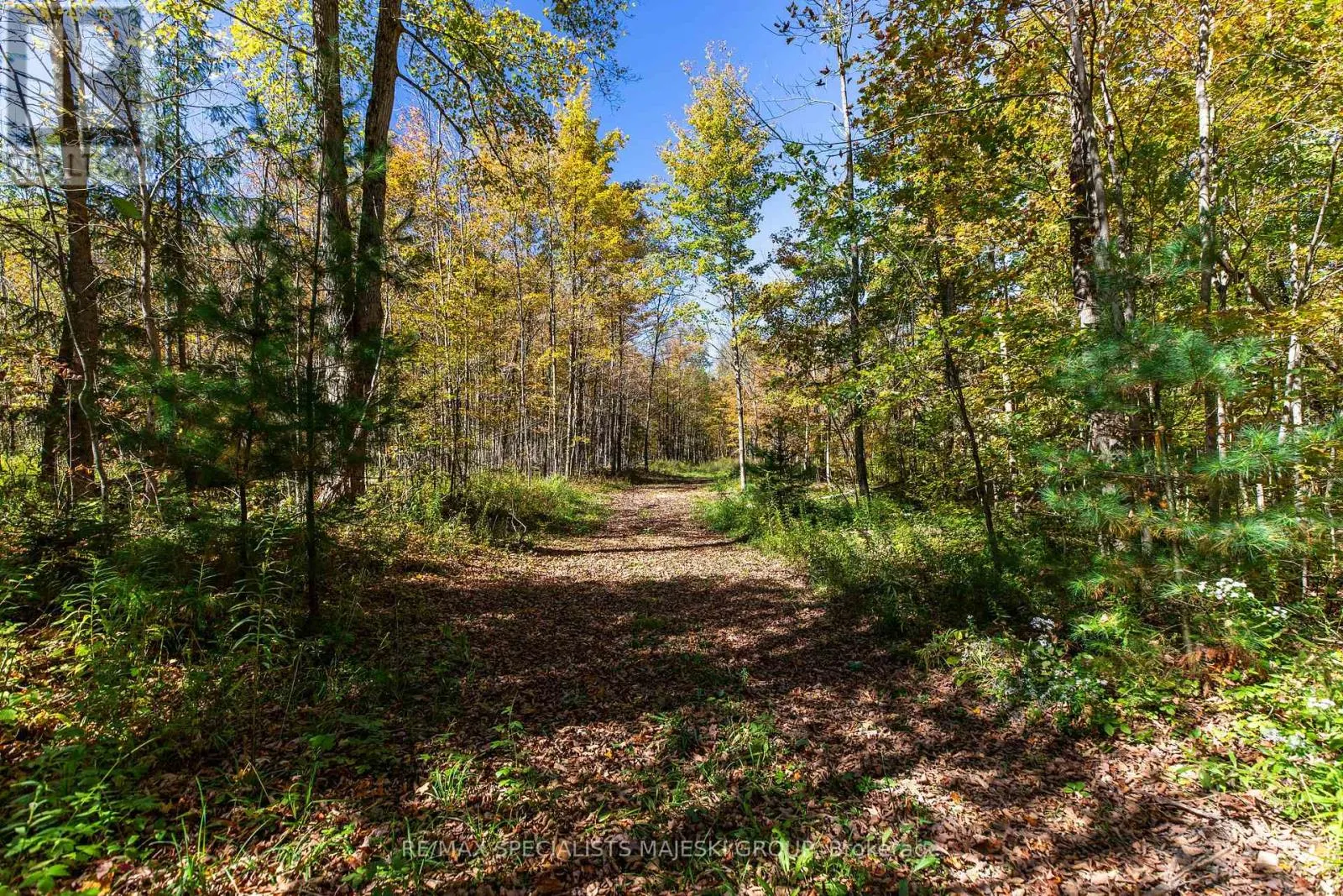 LOT 3 CONCESSION 8