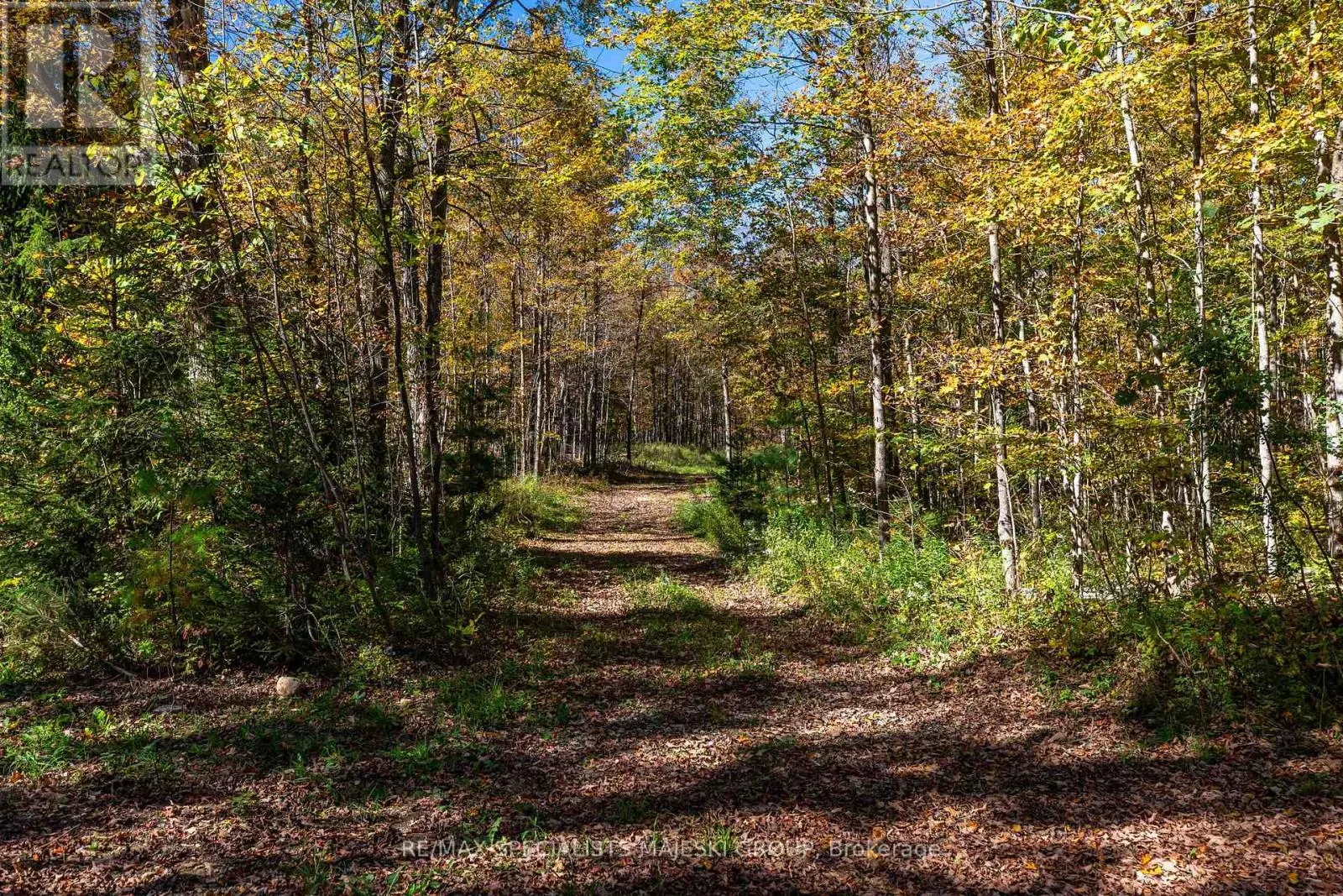 LOT 3 CONCESSION 8