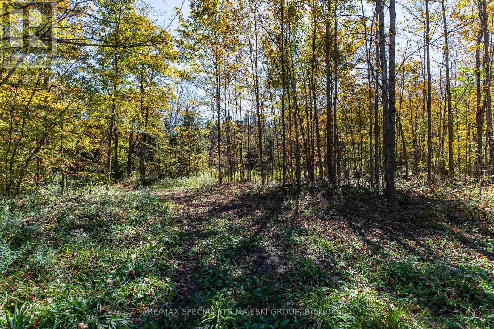 LOT 3 CONCESSION 8