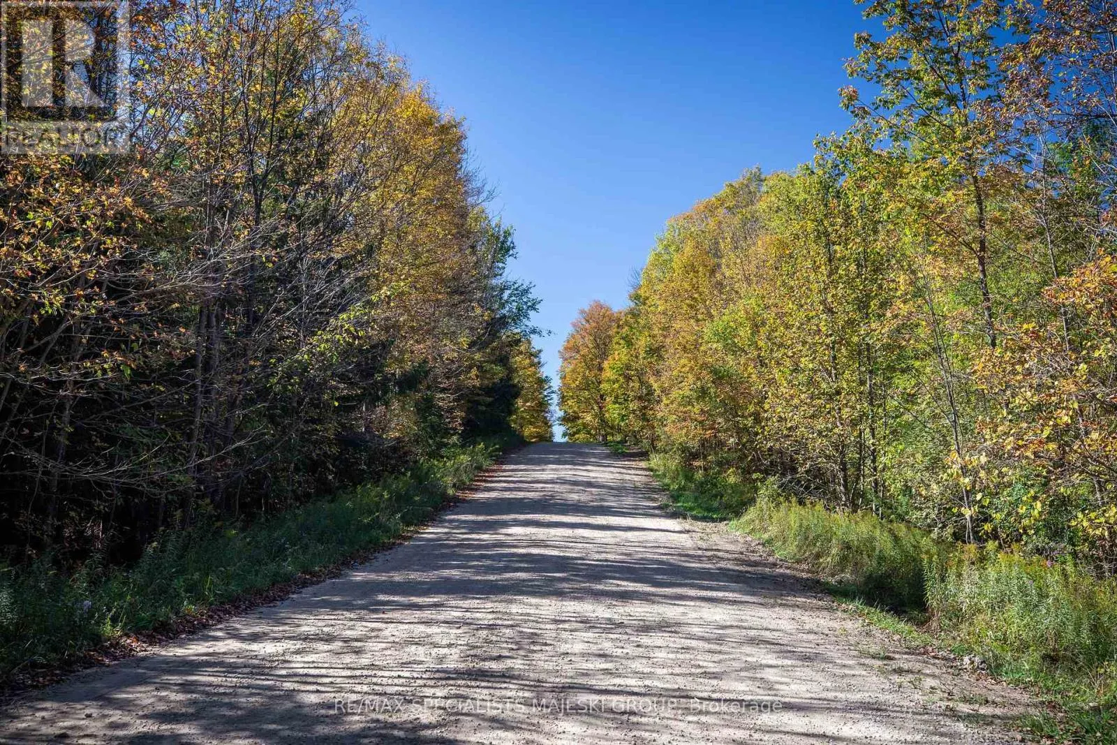LOT 3 CONCESSION 8