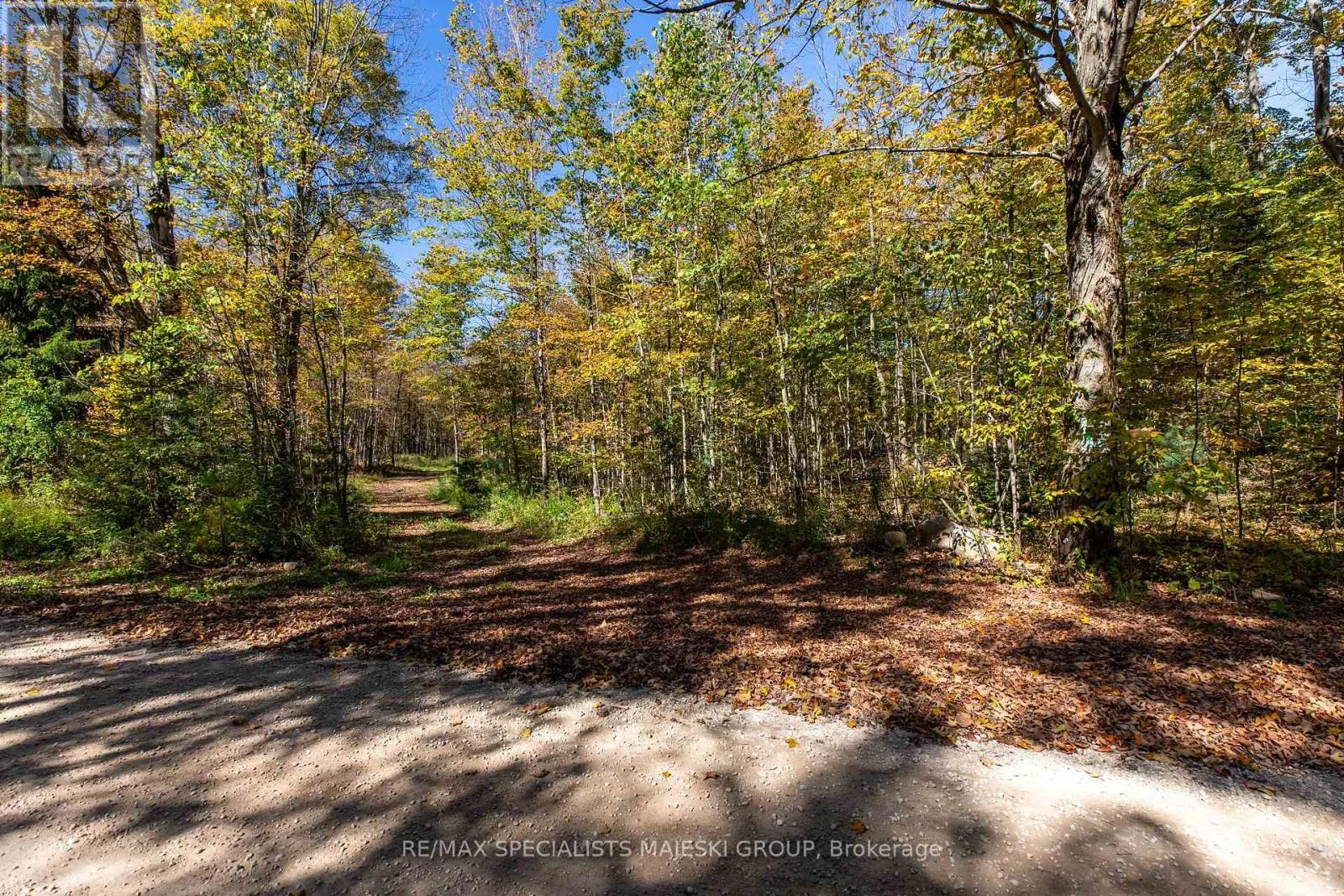 LOT 3 CONCESSION 8
