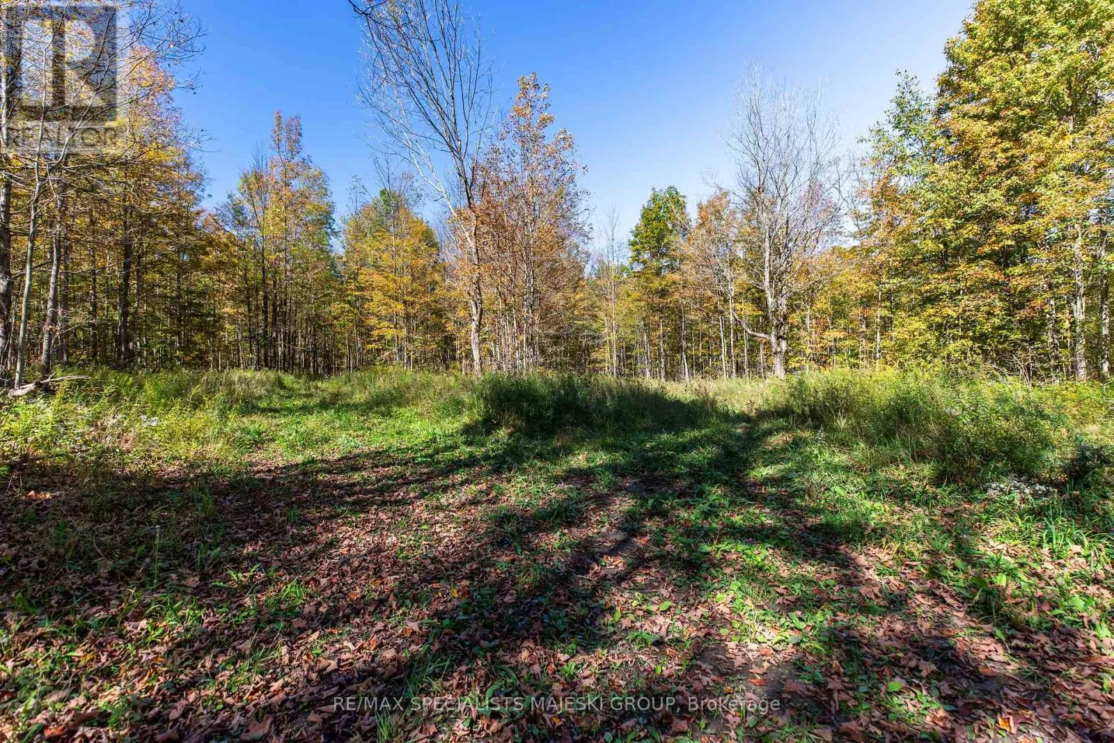 LOT 3 CONCESSION 8