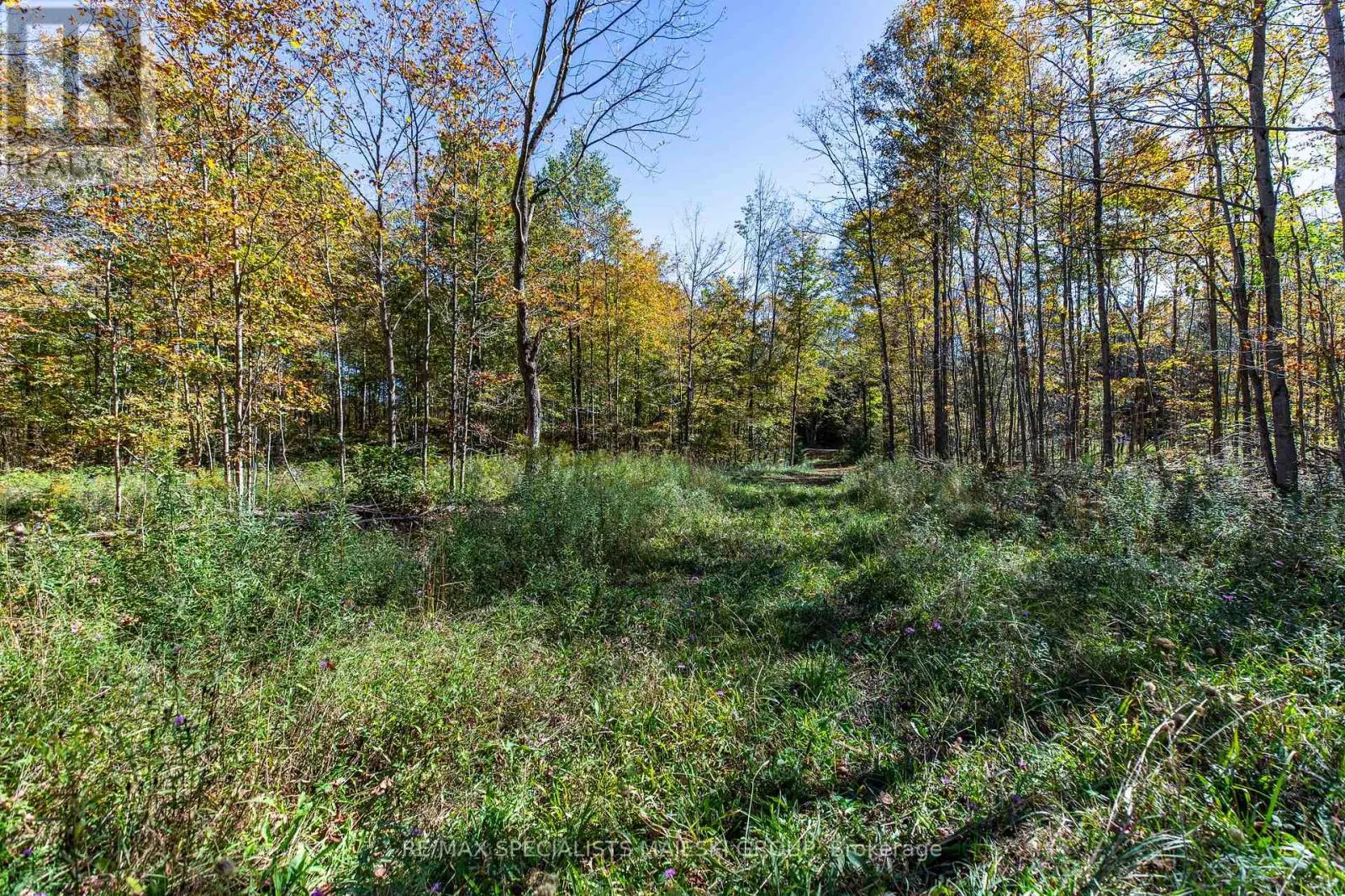 LOT 3 CONCESSION 8