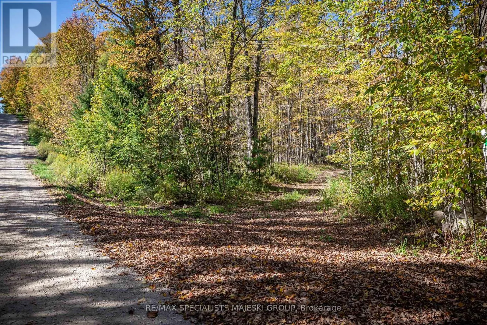 LOT 3 CONCESSION 8
