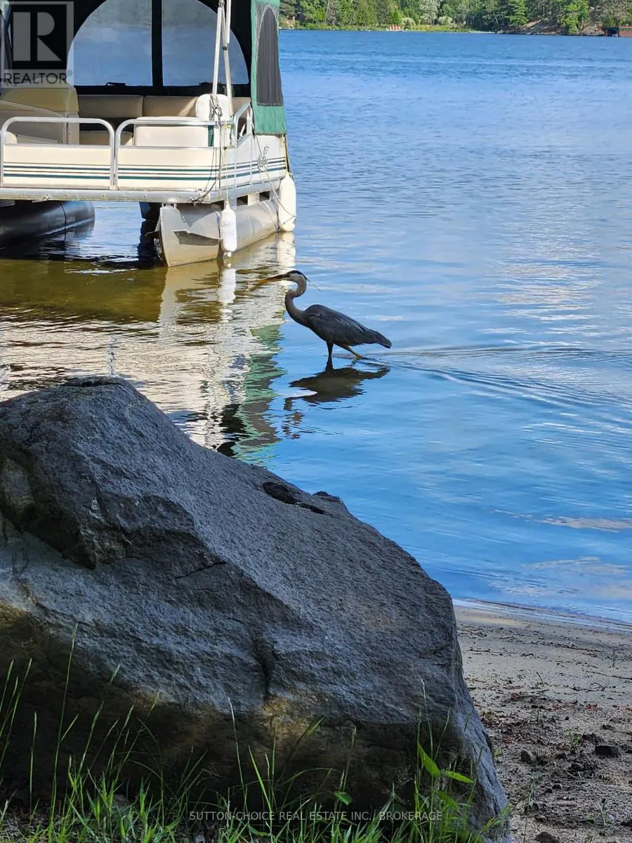 104 HEMLOCK ISLAND