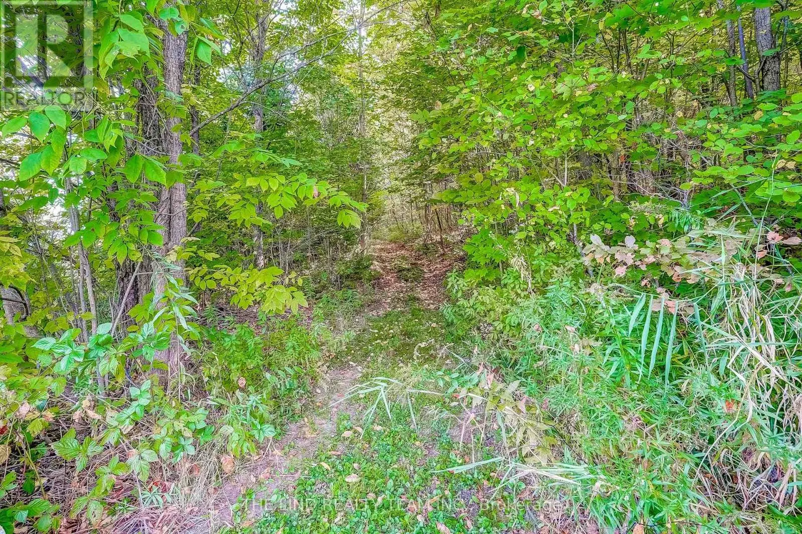 949 RAYMOND ROAD