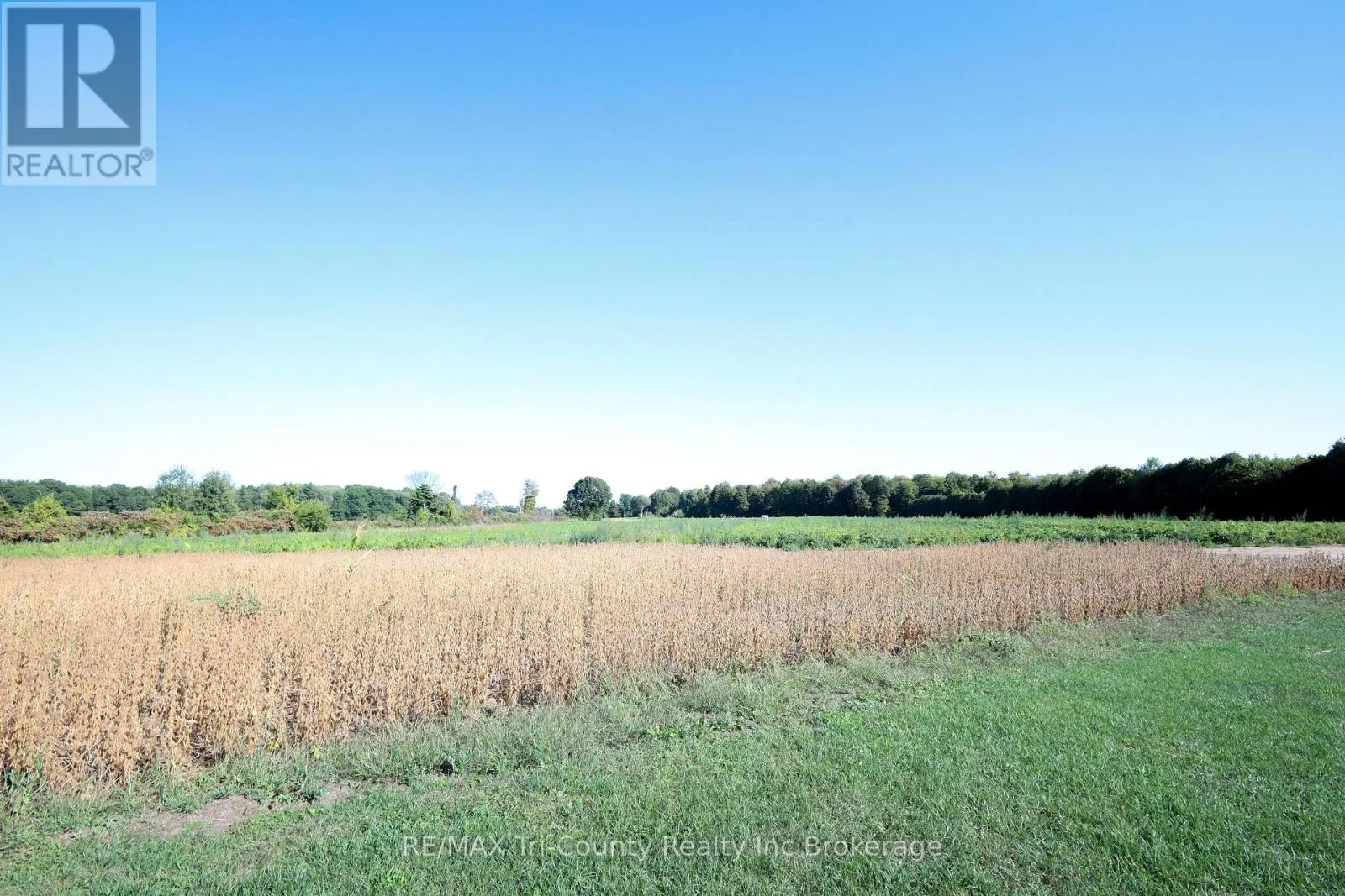 1225 1ST CONCESSION ENR ROAD