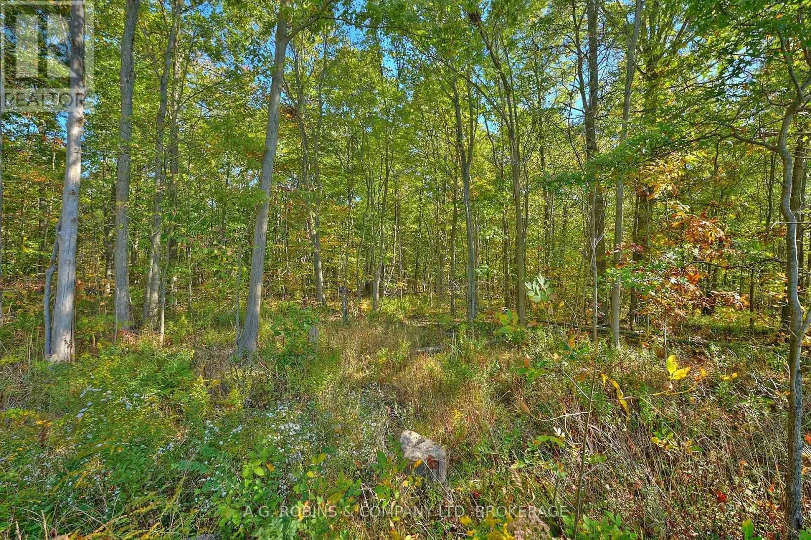 14440 MCKENNEY ROAD