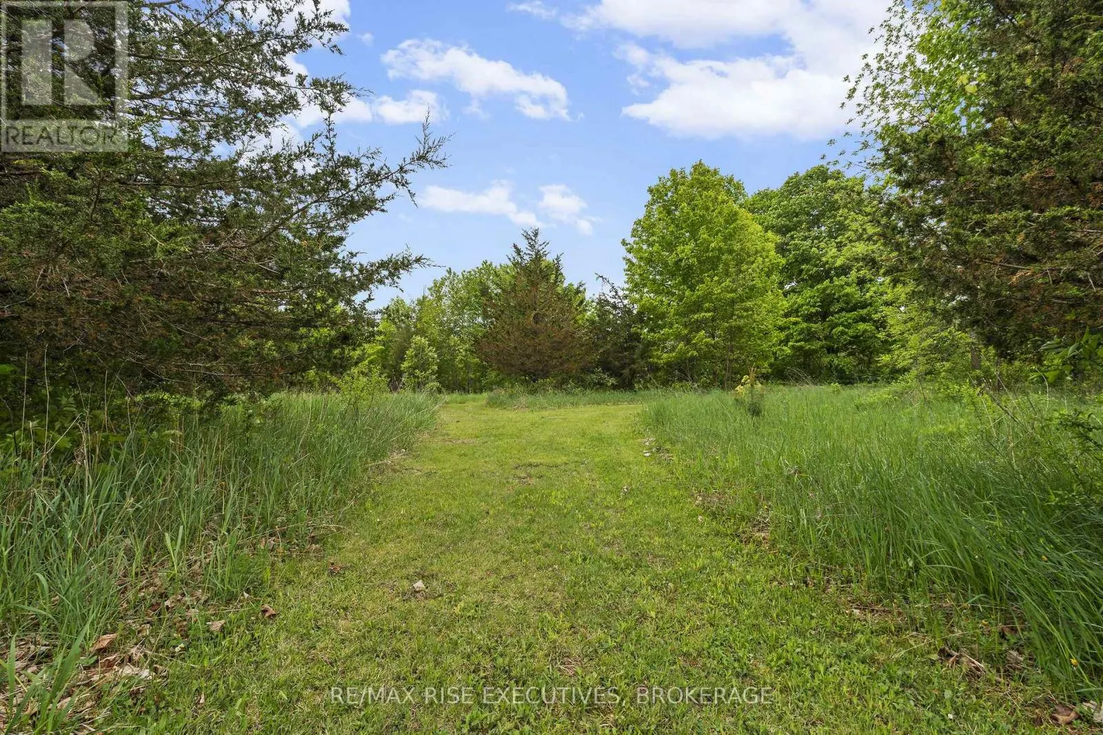 2329 HARLEM ROAD