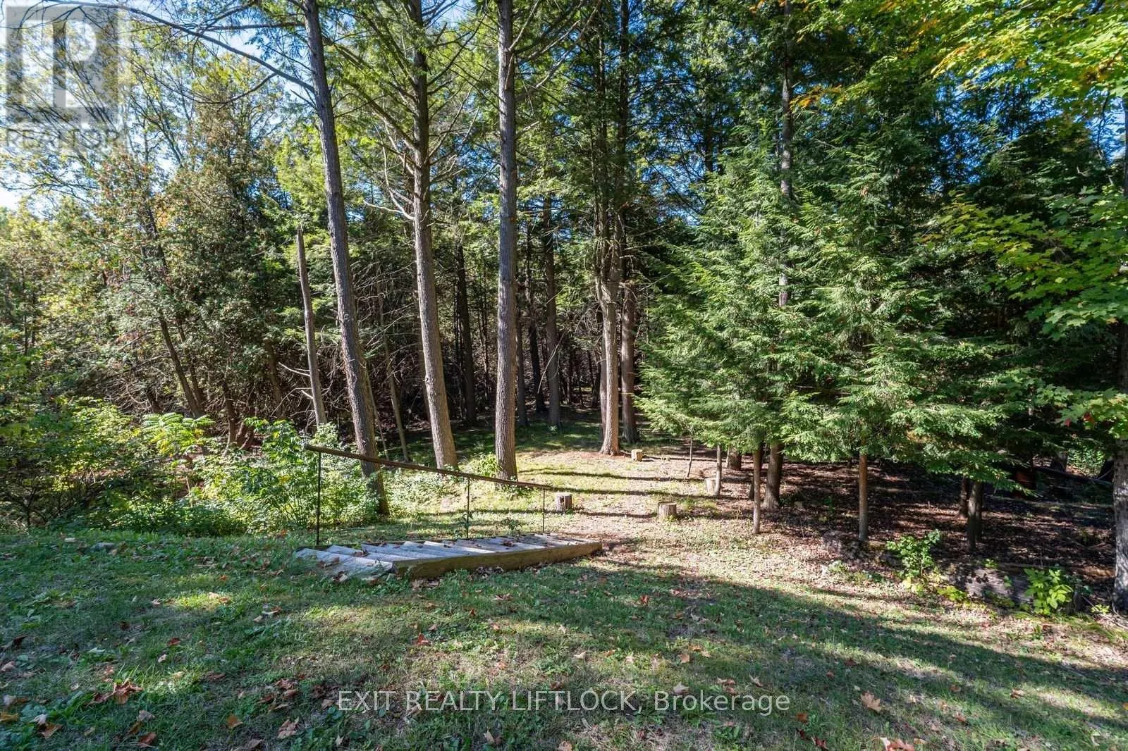 404 COUNTY ROAD 4