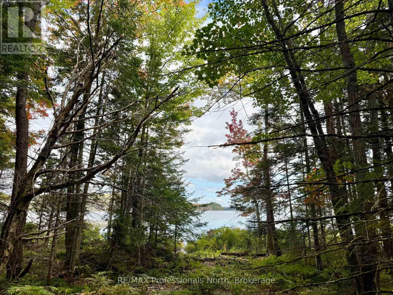 LOT 9 AXE LAKE ROAD