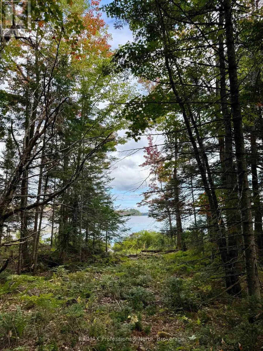 LOT 9 AXE LAKE ROAD