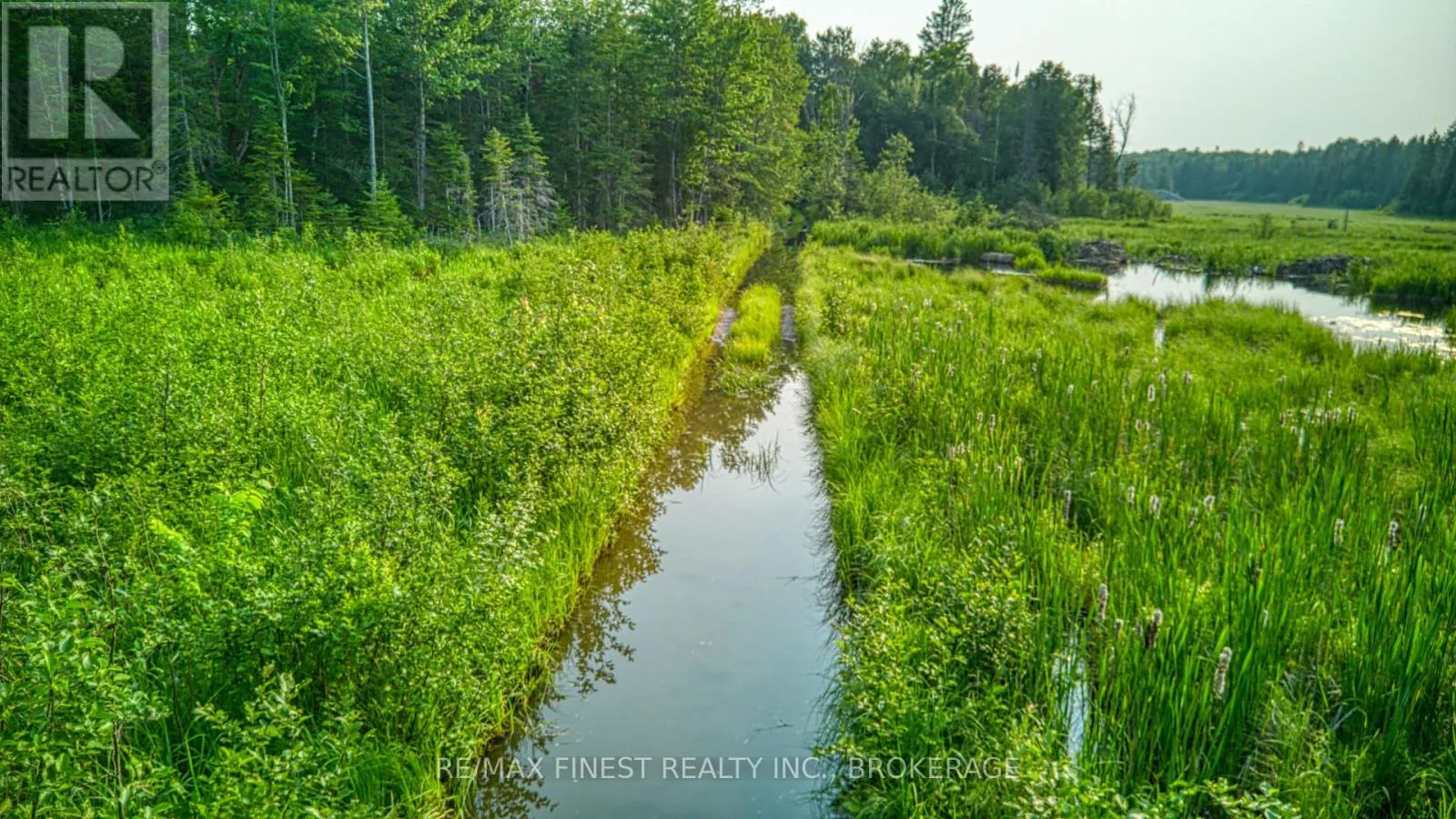 E 1/2 LOT 22 CONCESSION 9 PALMERSTON